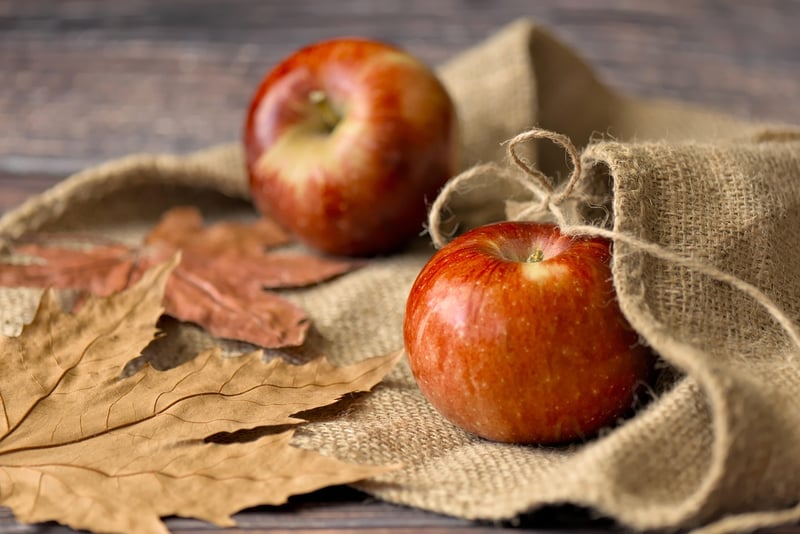 In-Season Ingredients